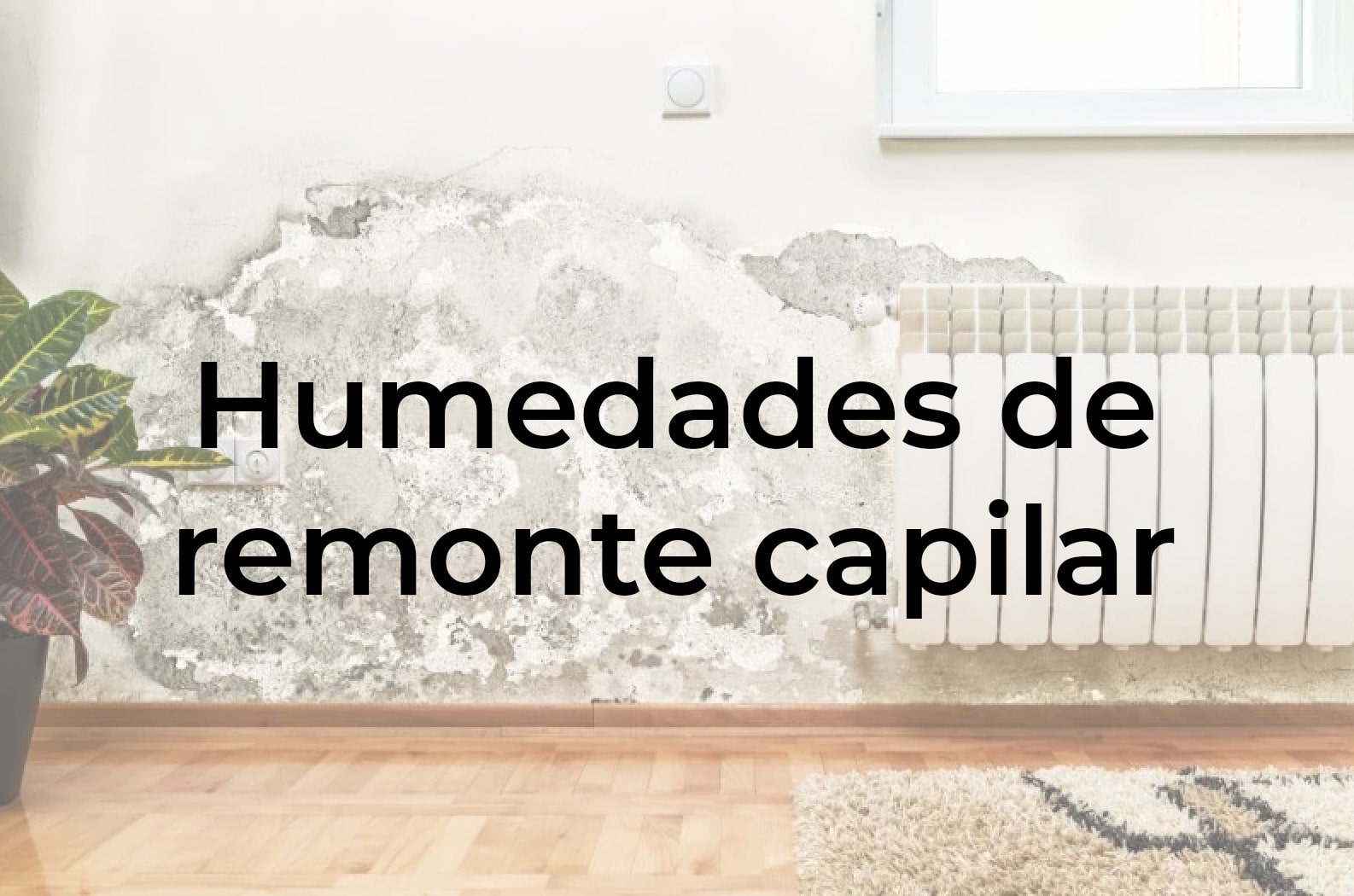 Humedades de remonte capilar: qué son y cómo evitarlas en tus obras y reformas